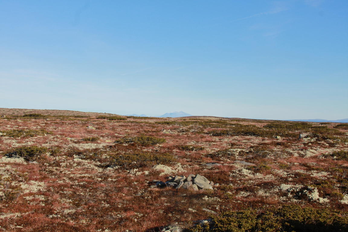Klik på billedet for at lukke vinduet