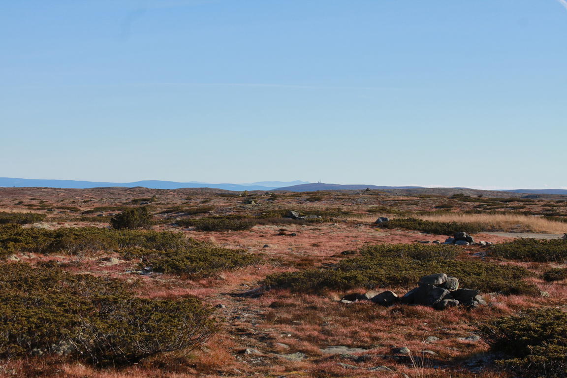 Klik på billedet for at lukke vinduet