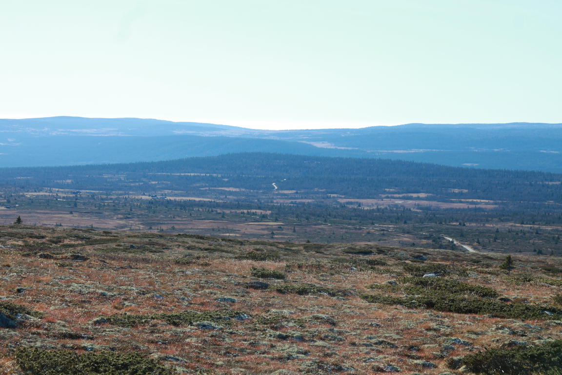 Klik på billedet for at lukke vinduet
