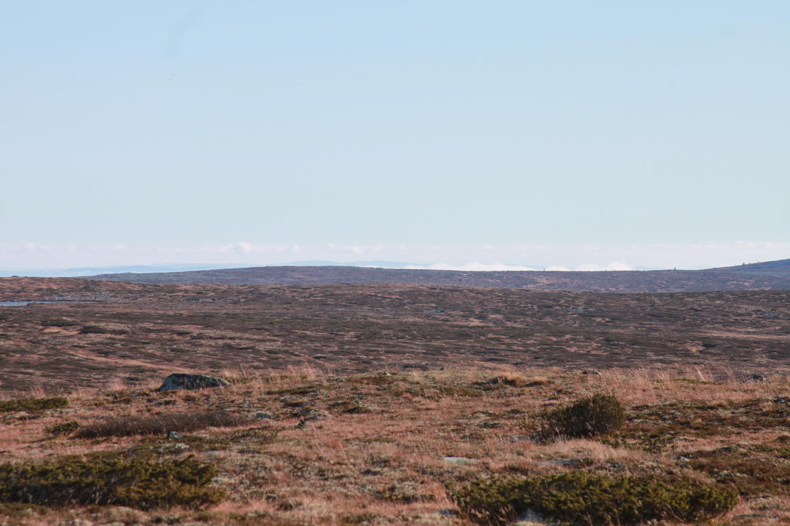 Klik på billedet for at lukke vinduet