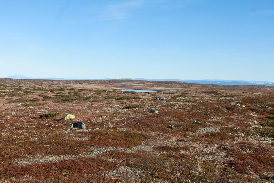 Klik på billedet for at lukke vinduet
