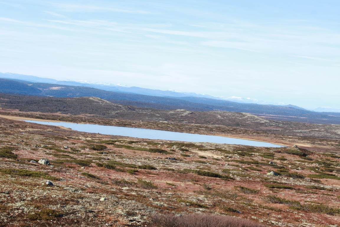 Klik på billedet for at lukke vinduet