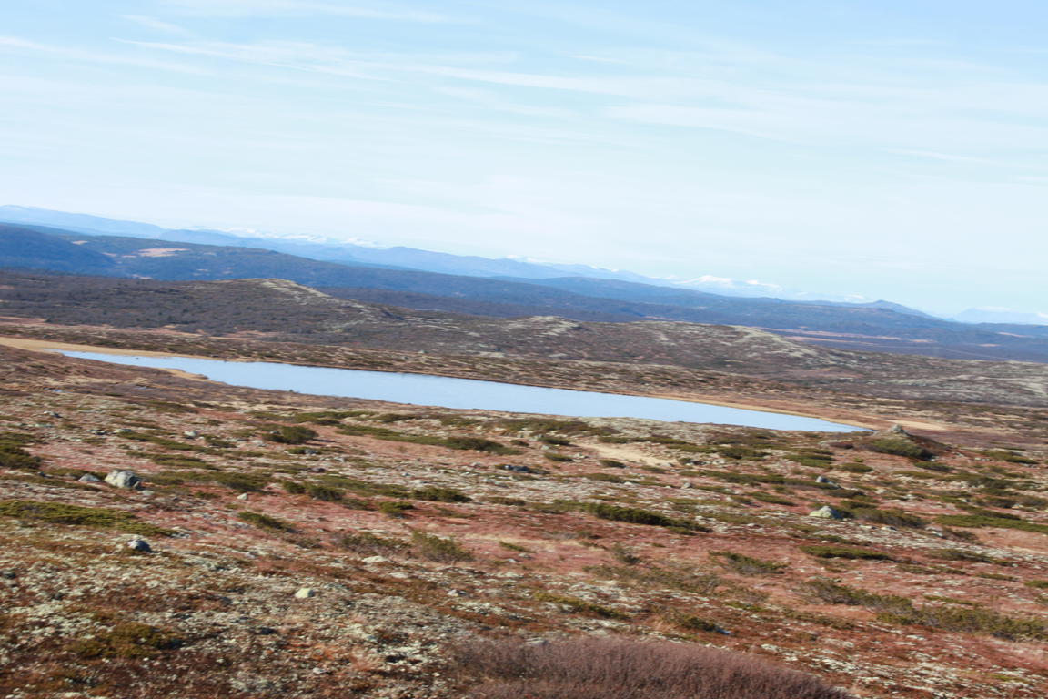 Klik på billedet for at lukke vinduet