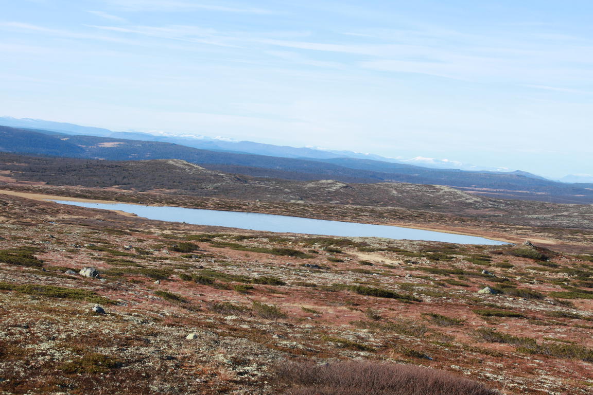 Klik på billedet for at lukke vinduet