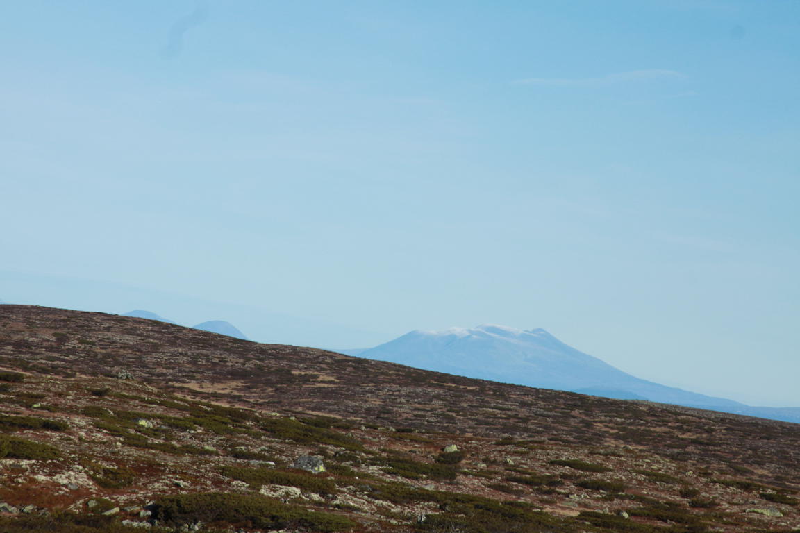 Klik på billedet for at lukke vinduet