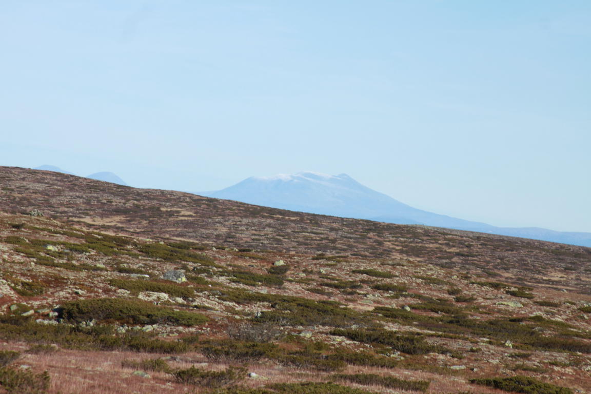 Klik på billedet for at lukke vinduet