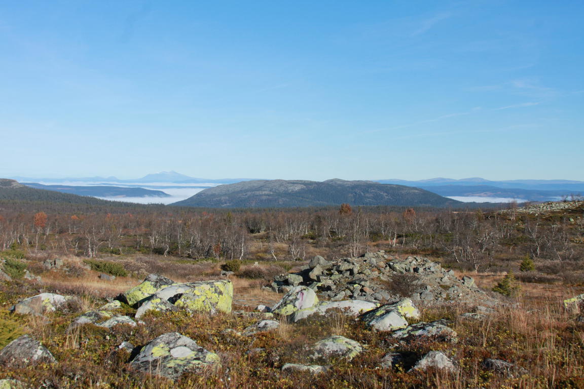 Klik på billedet for at lukke vinduet