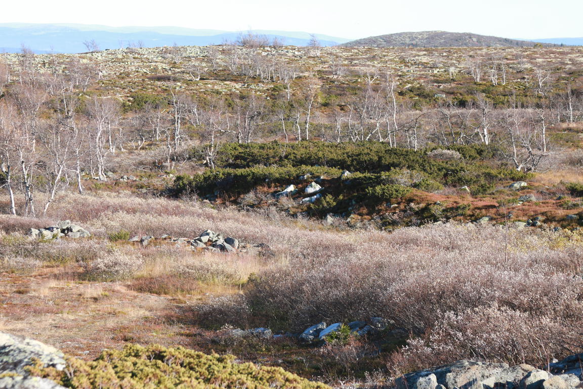 Klik på billedet for at lukke vinduet