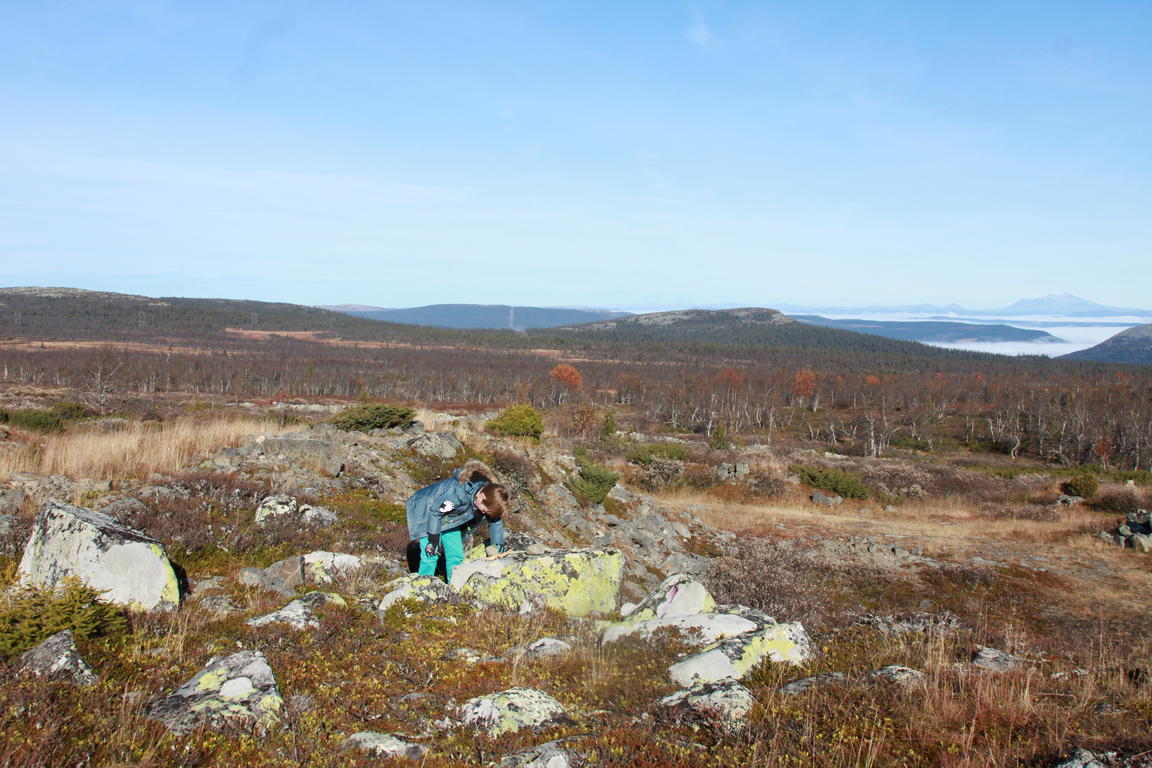 Klik på billedet for at lukke vinduet