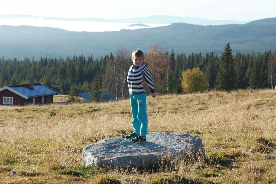 Klik på billedet for at lukke vinduet