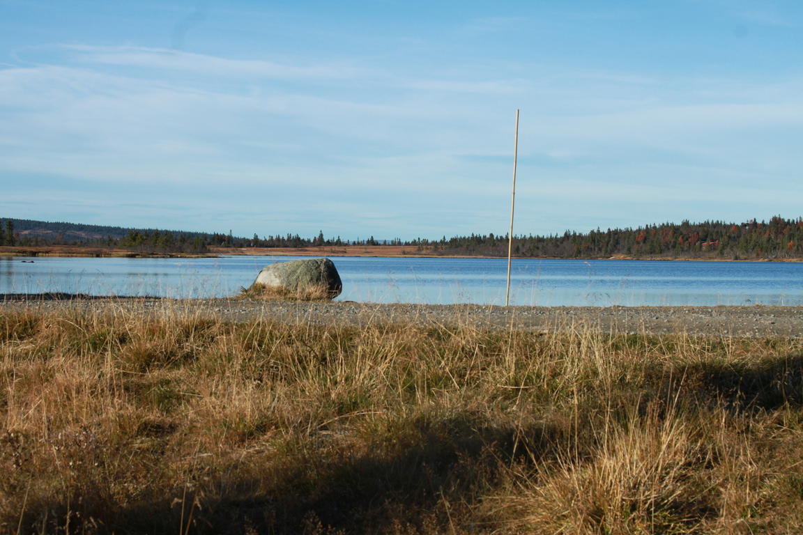 Klik på billedet for at lukke vinduet