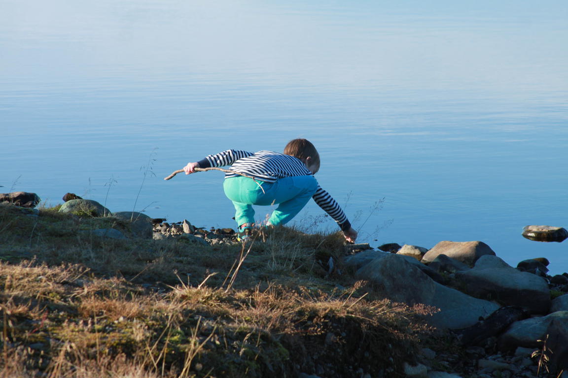 Klik på billedet for at lukke vinduet