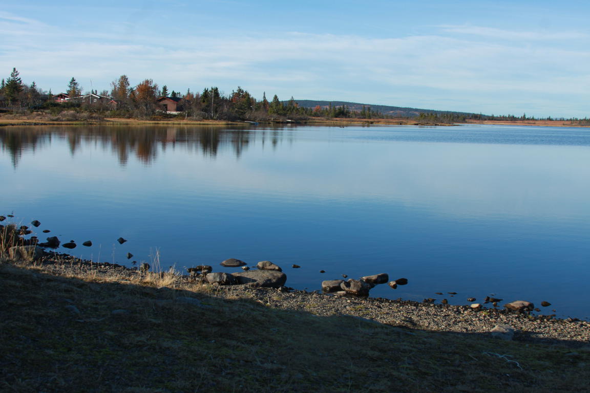 Klik på billedet for at lukke vinduet