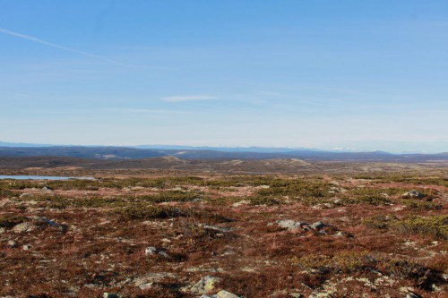 Klik på billedet for at se det i større format