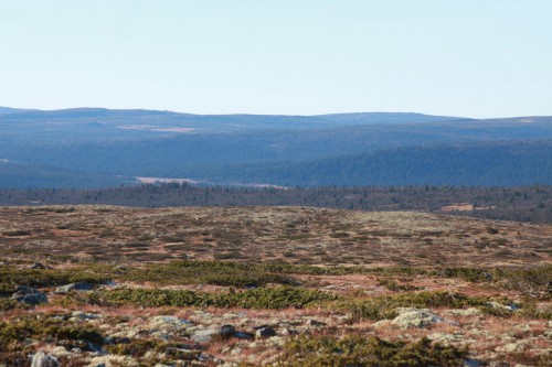 Klik på billedet for at se det i større format