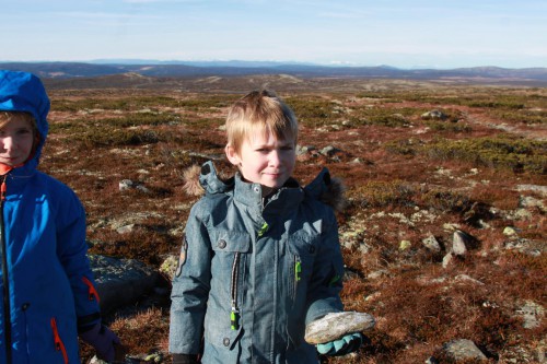 Klik på billedet for at se det i større format