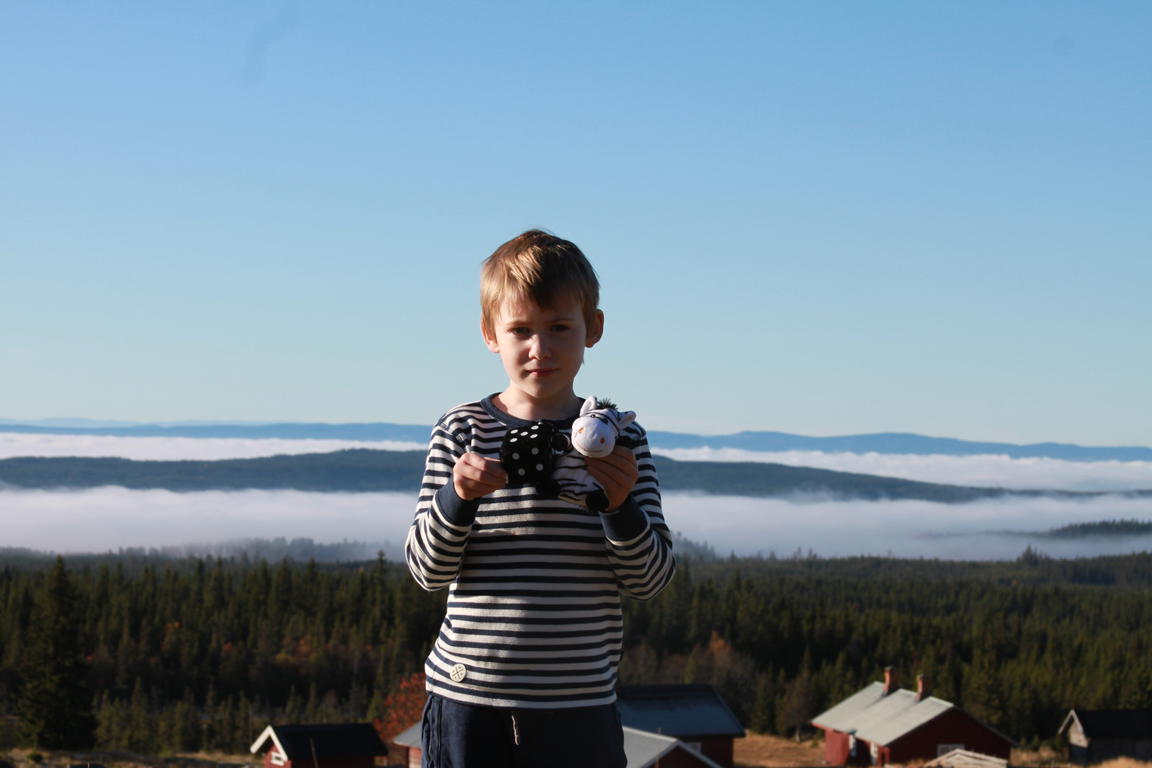 Klik på billedet for at lukke vinduet
