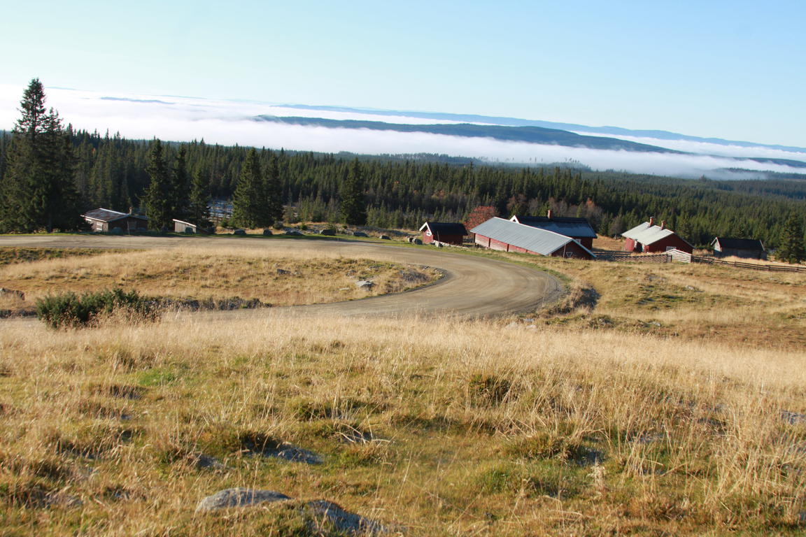Klik på billedet for at lukke vinduet