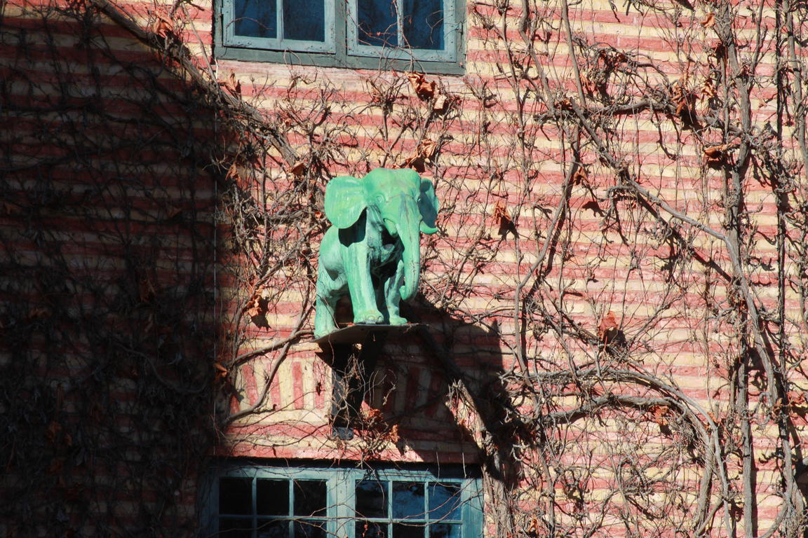 Klik på billedet for at lukke vinduet