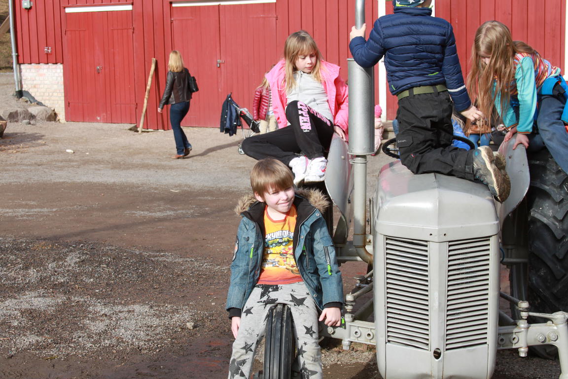 Klik på billedet for at lukke vinduet