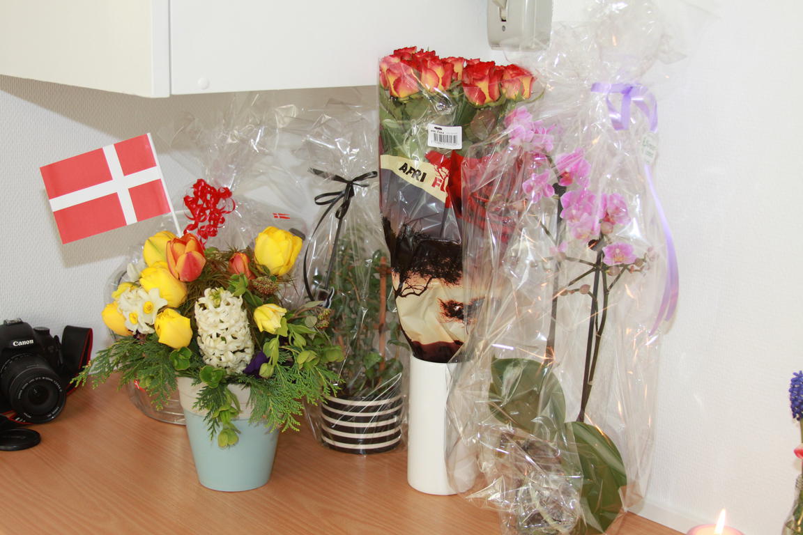 Klik på billedet for at lukke vinduet