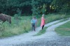 Klik på billedet for at se det i større format