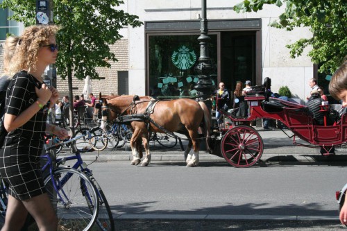 Klik på billedet for at se det i større format