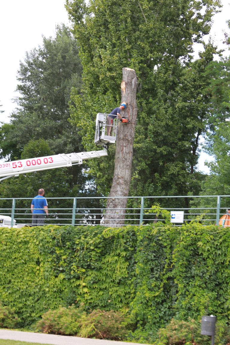 Klik på billedet for at lukke vinduet