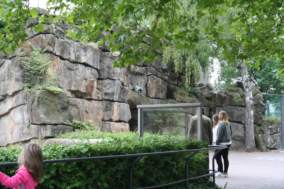 Klik på billedet for at lukke vinduet