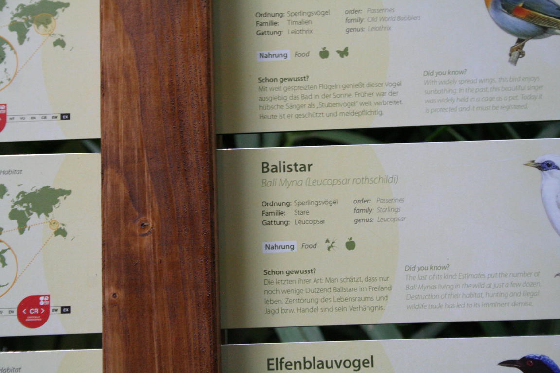 Klik på billedet for at lukke vinduet