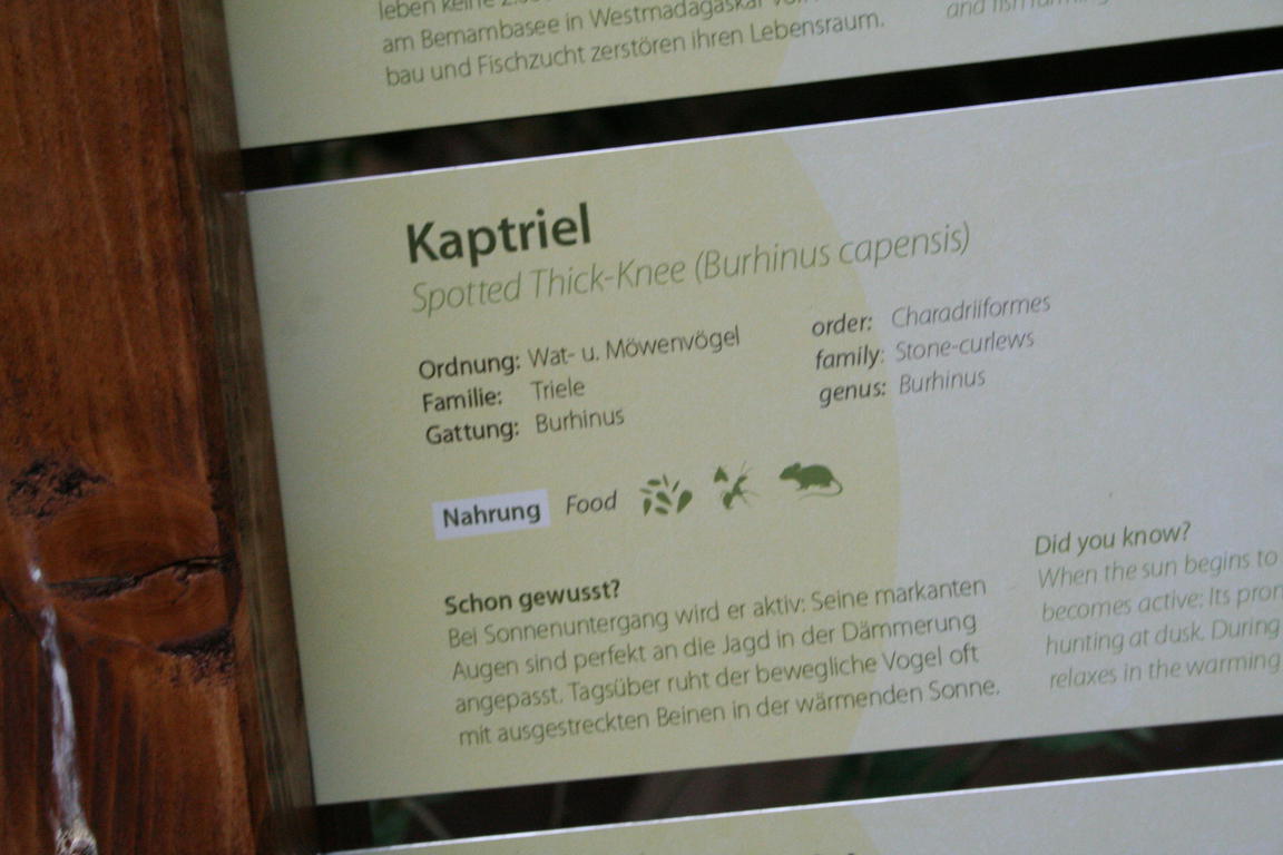 Klik på billedet for at lukke vinduet