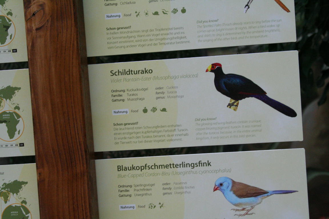 Klik på billedet for at lukke vinduet