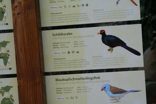 Klik på billedet for at se det i større format