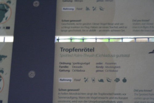 Klik på billedet for at se det i større format
