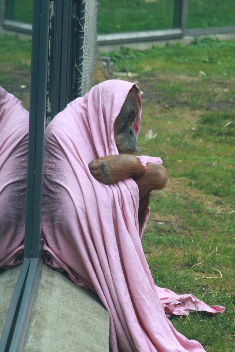 Klik på billedet for at lukke vinduet