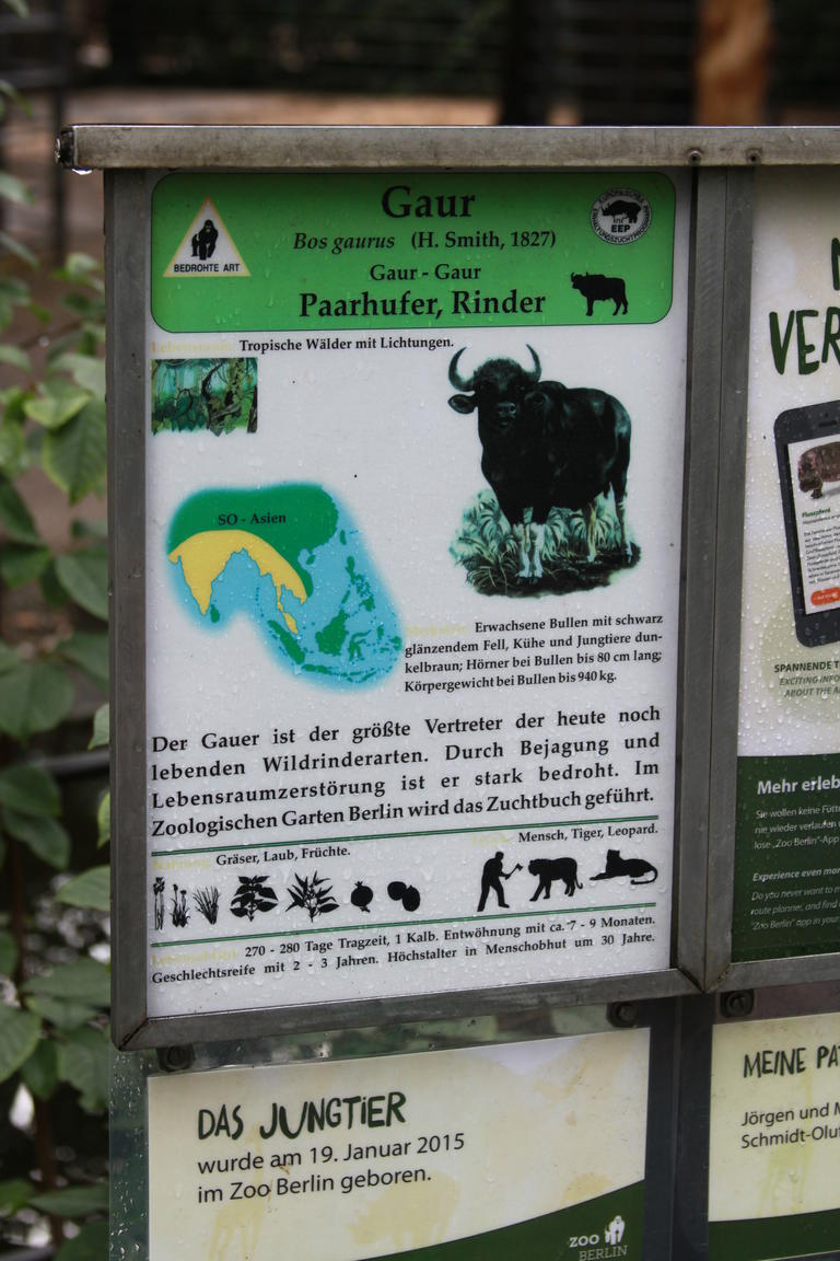 Klik på billedet for at lukke vinduet