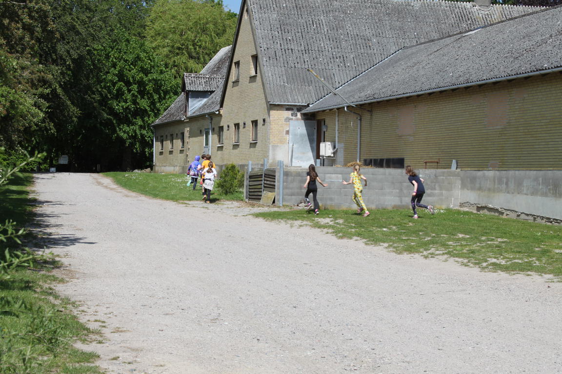 Klik på billedet for at lukke vinduet