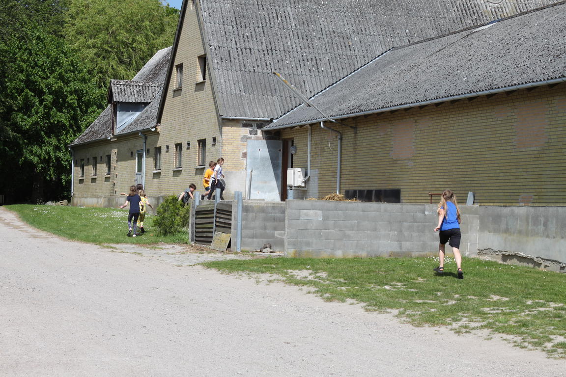 Klik på billedet for at lukke vinduet