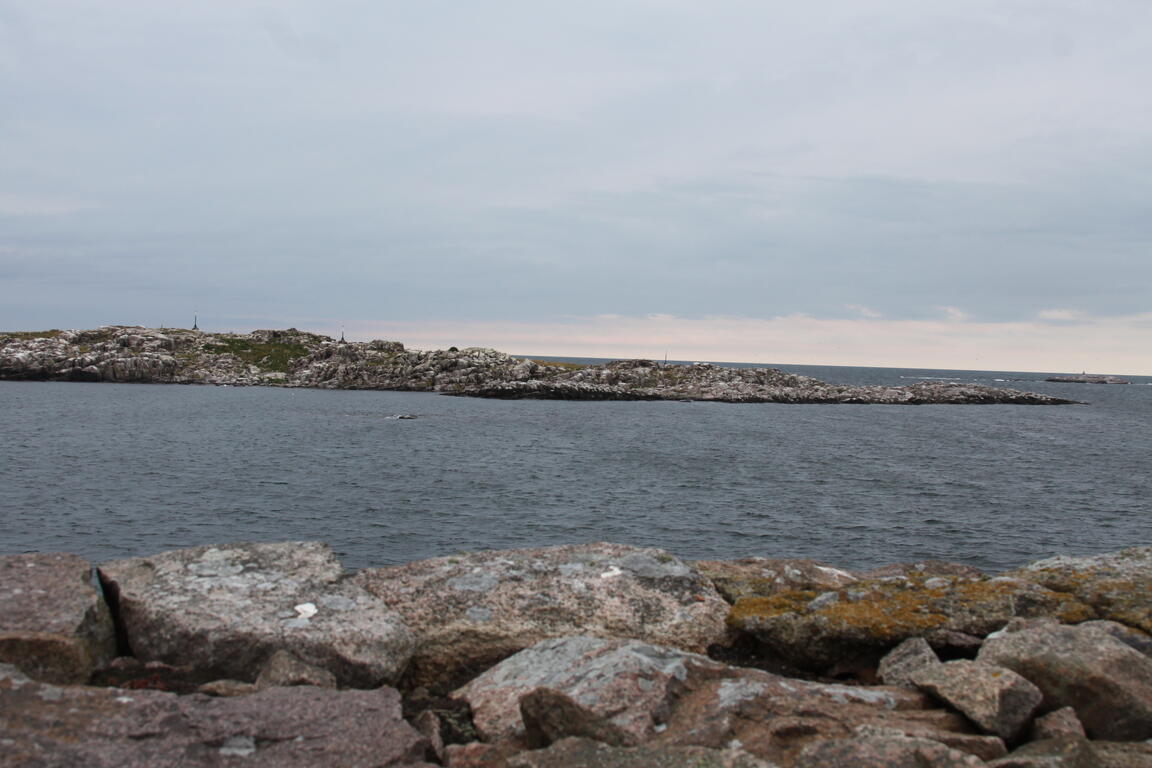 Klik på billedet for at lukke vinduet