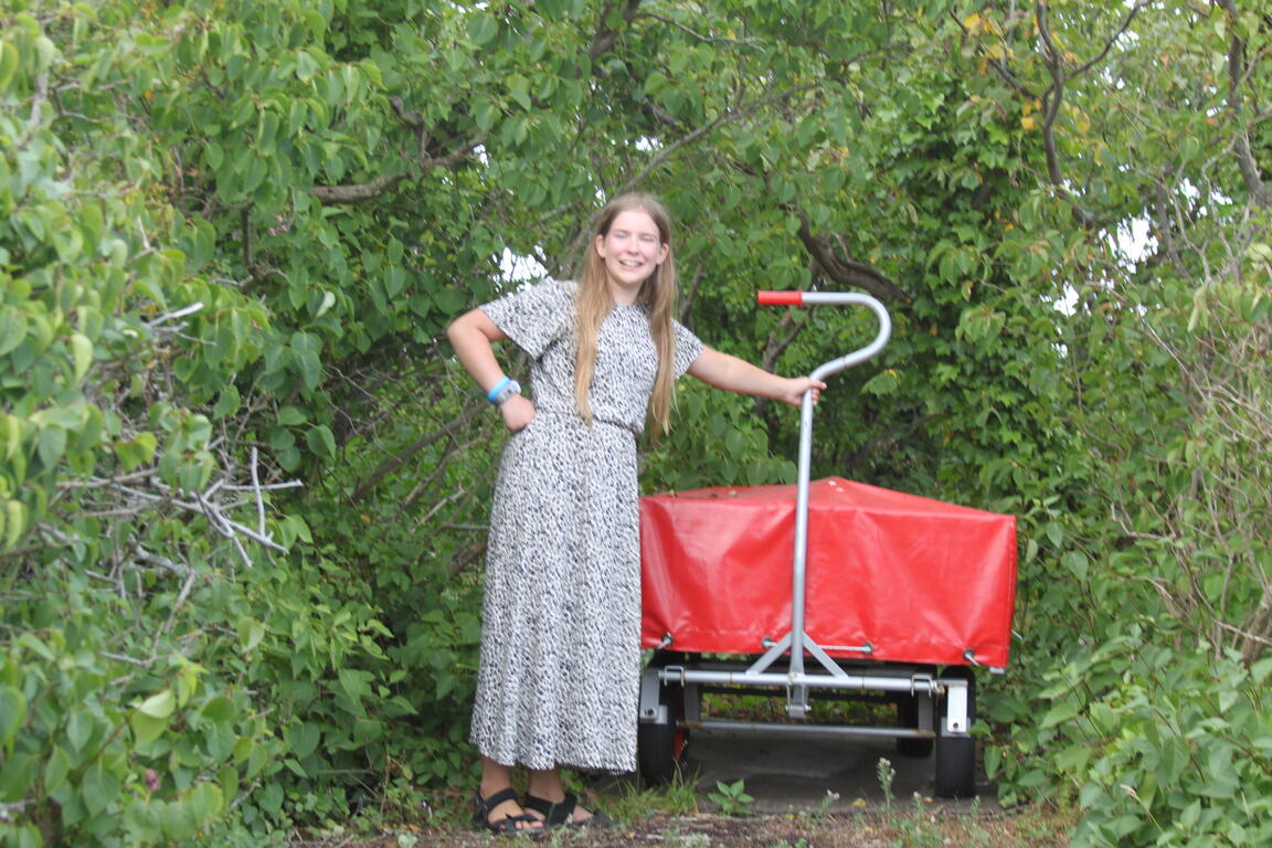 Klik på billedet for at lukke vinduet