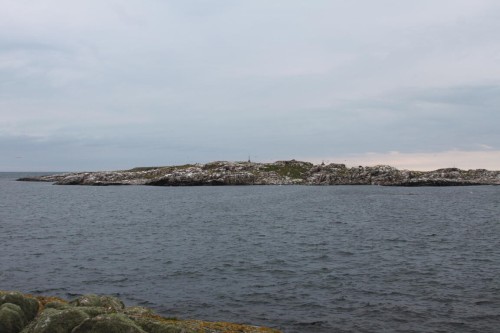 Klik på billedet for at se det i større format