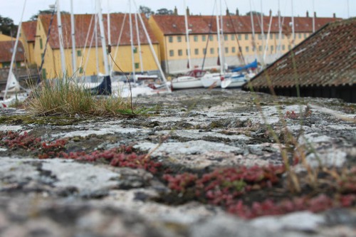 Klik på billedet for at se det i større format