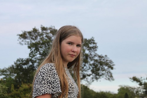 Klik på billedet for at se det i større format