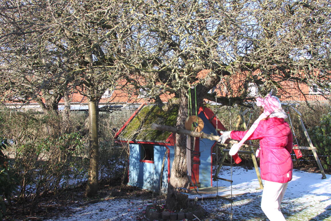 Klik på billedet for at lukke vinduet