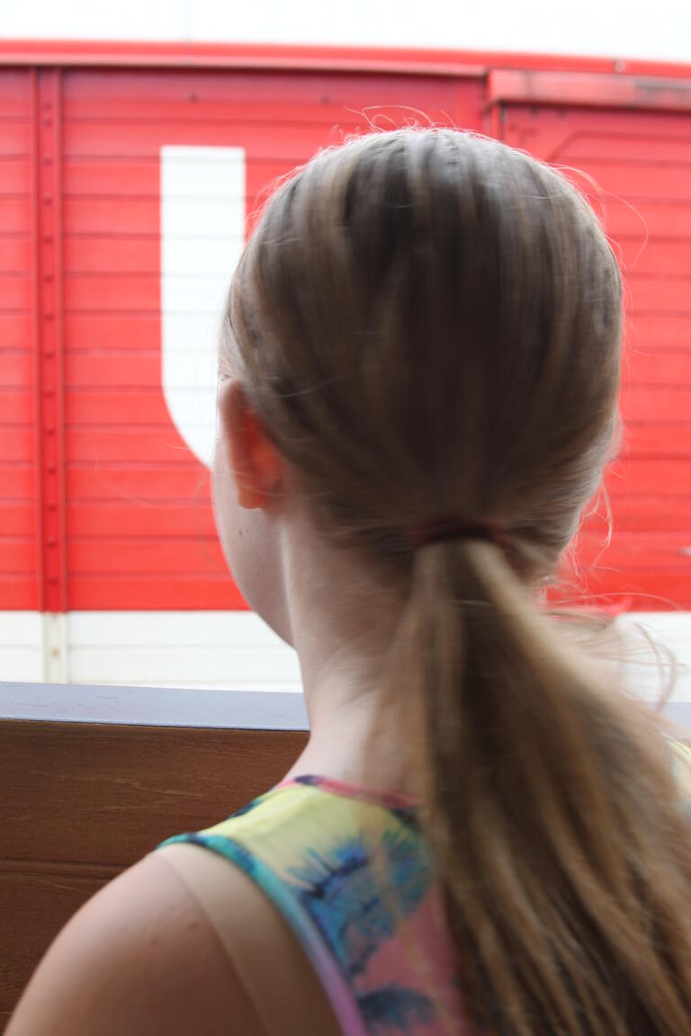 Klik på billedet for at lukke vinduet