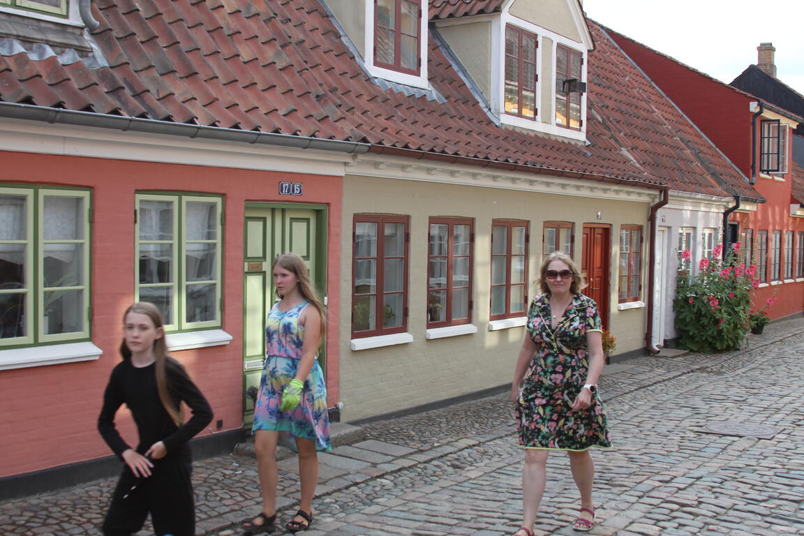Klik på billedet for at lukke vinduet