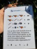Klik på billedet for at se det i større format