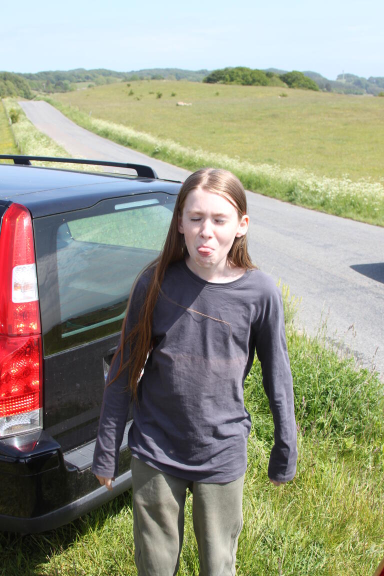 Klik på billedet for at lukke vinduet