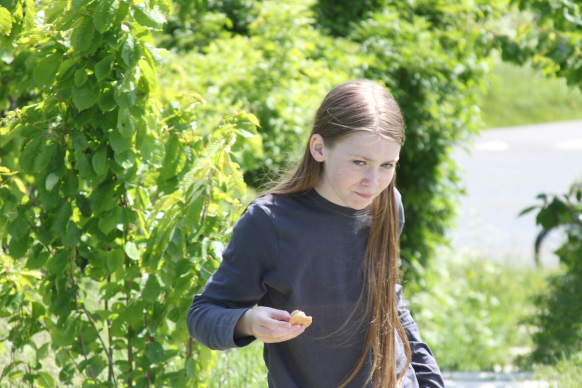 Klik på billedet for at lukke vinduet