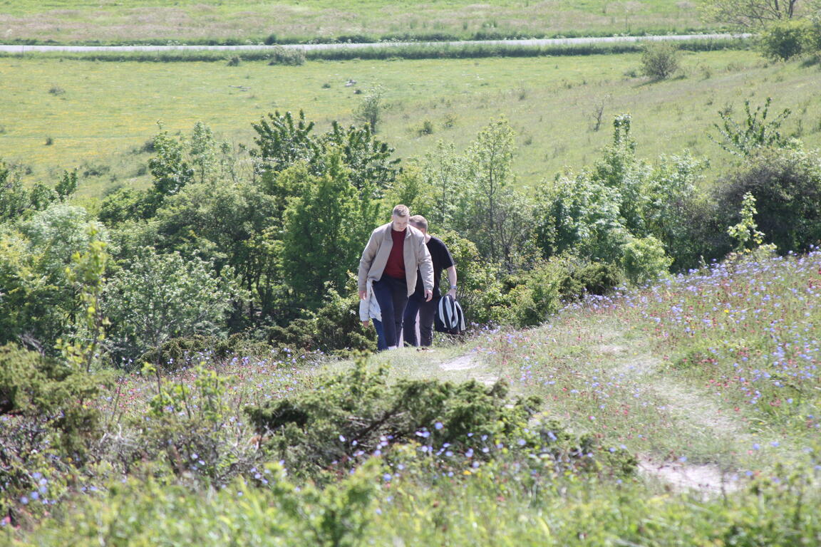 Klik på billedet for at lukke vinduet